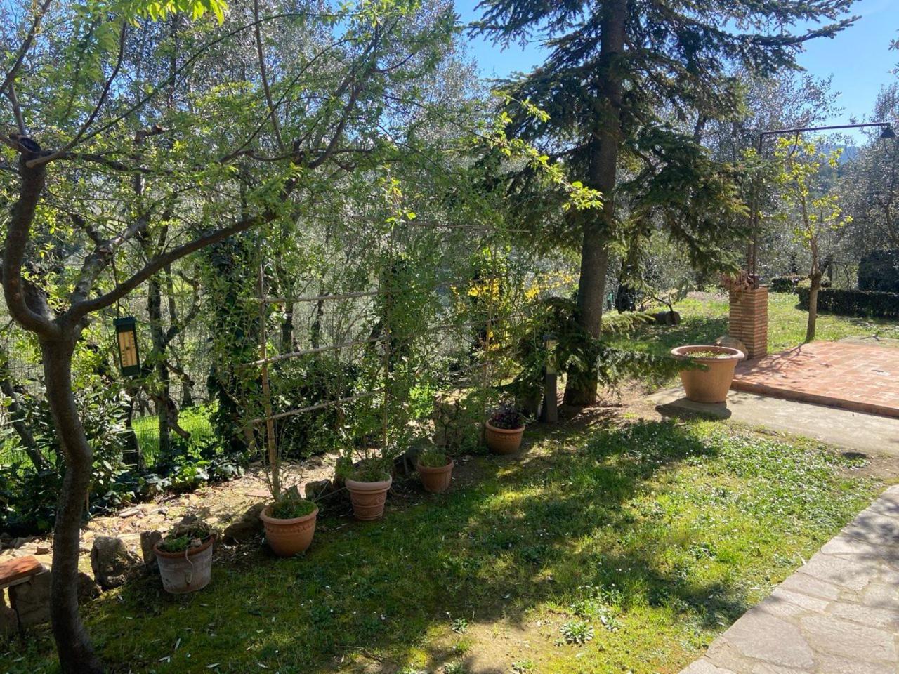 Villa Gallorosso Settignano エクステリア 写真